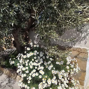 Le Gebbie Casa vacanze Marzamemi
